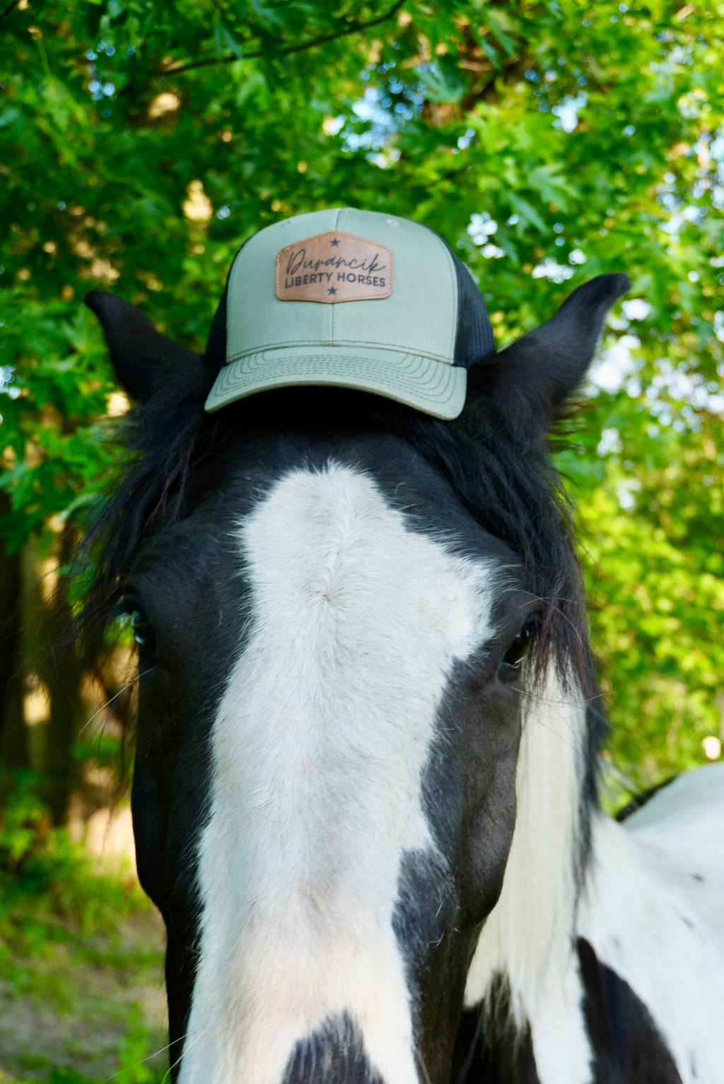 DLH Signature Snapback
