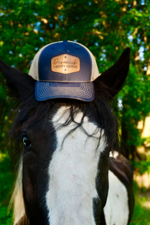 DLH Signature Snapback