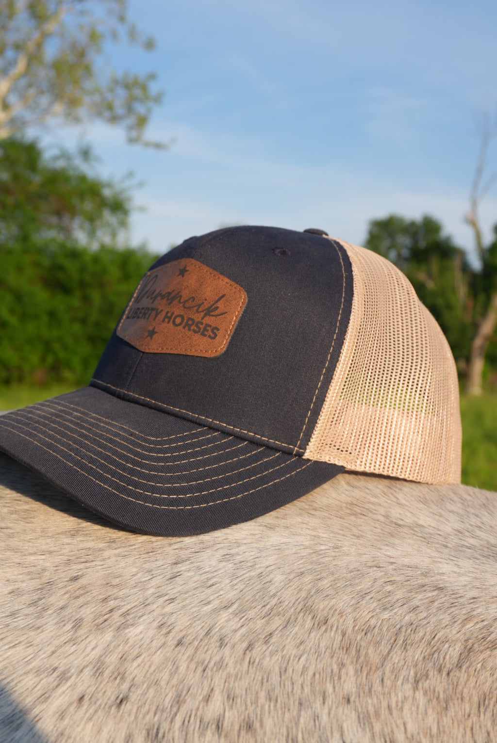 DLH Signature Snapback