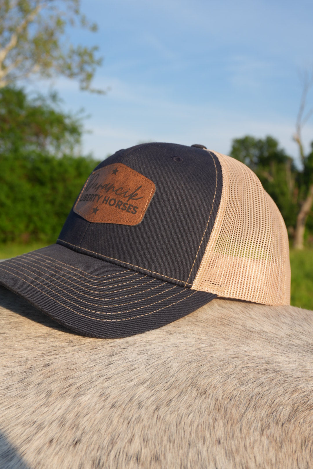 DLH Signature Snapback