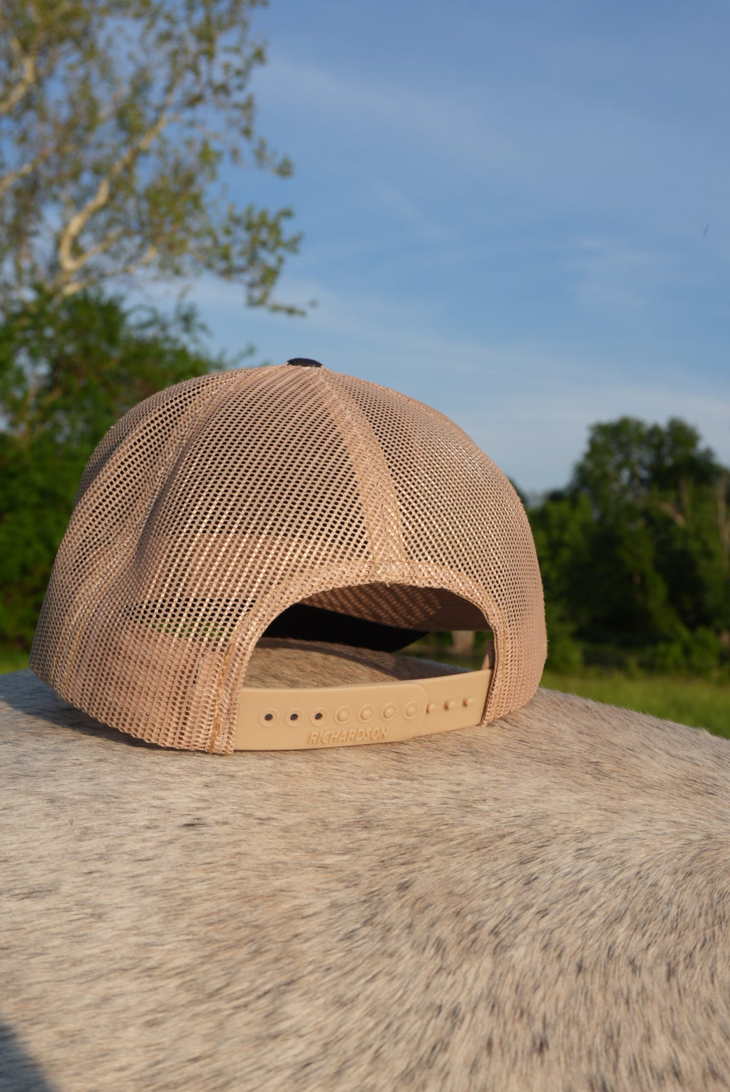 DLH Signature Snapback