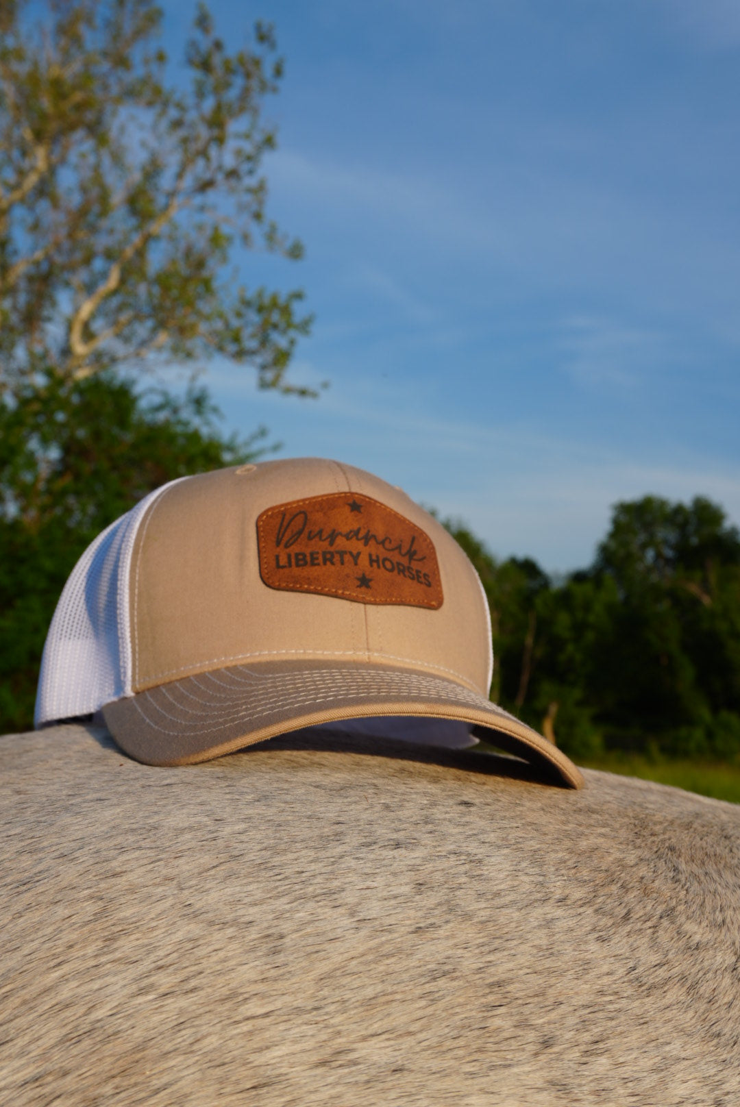 DLH Signature Snapback
