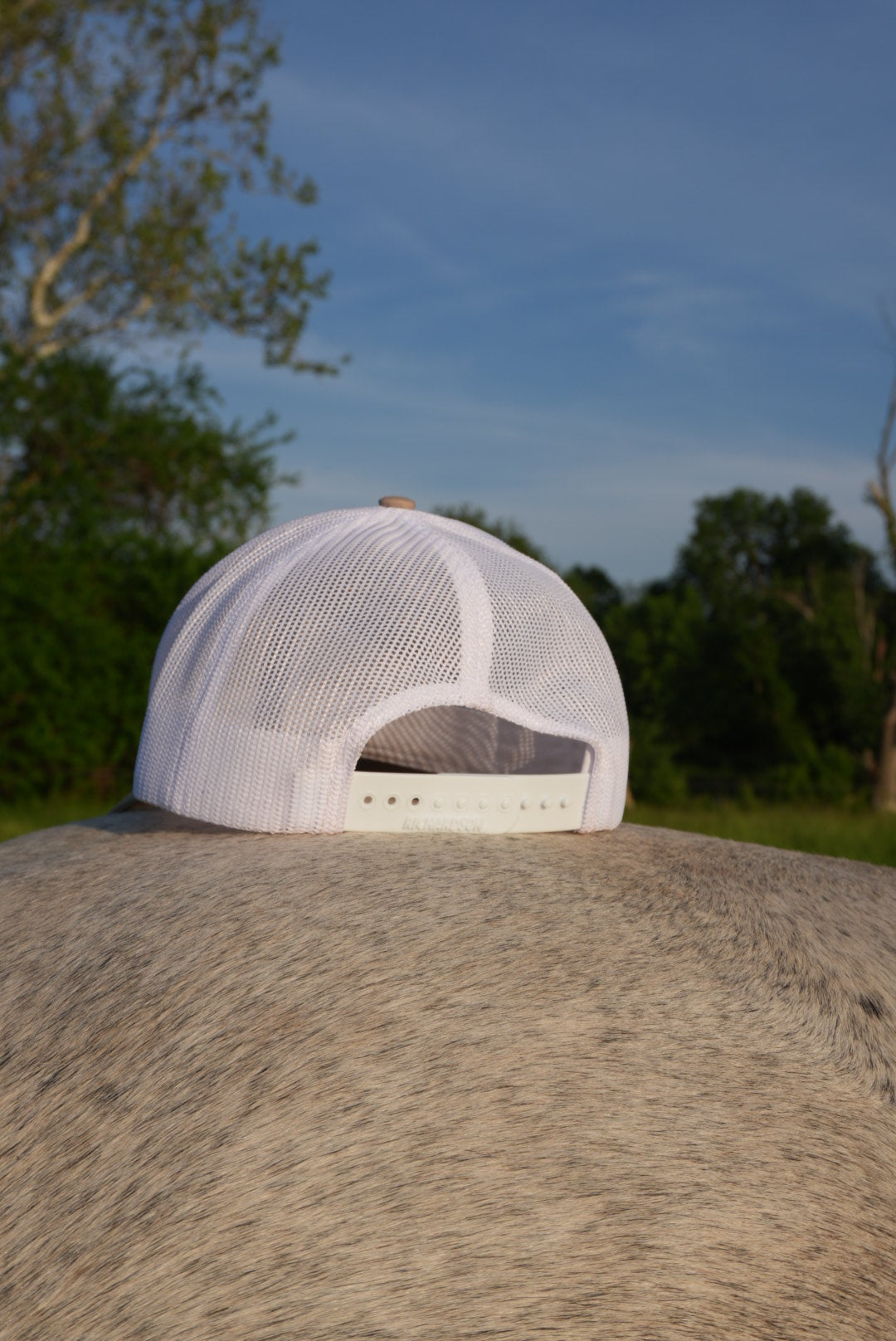 DLH Signature Snapback