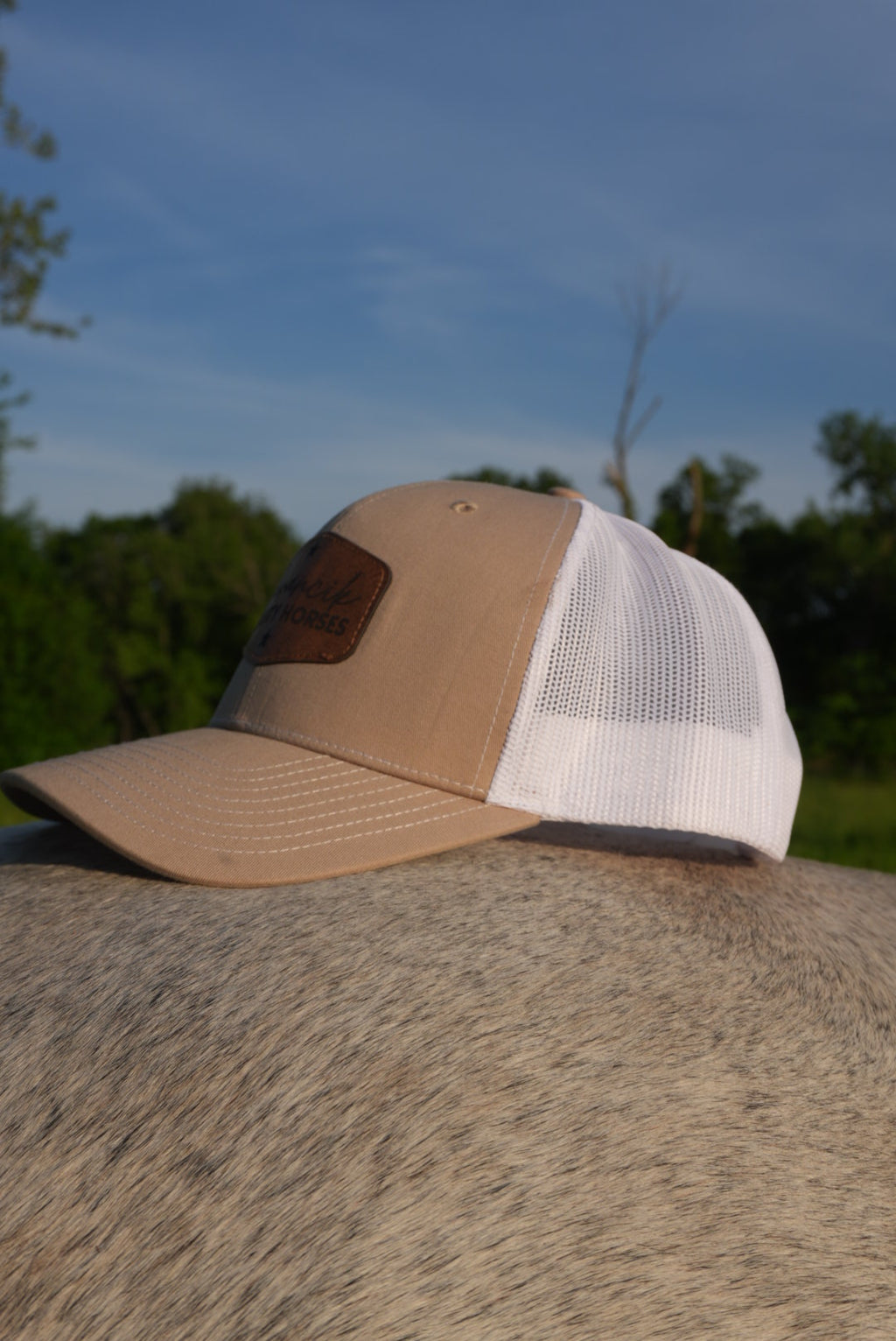 DLH Signature Snapback