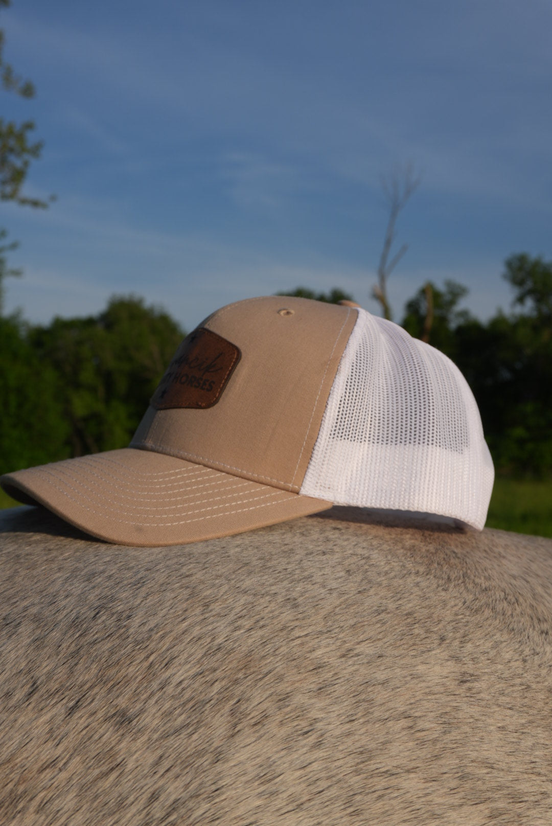 DLH Signature Snapback