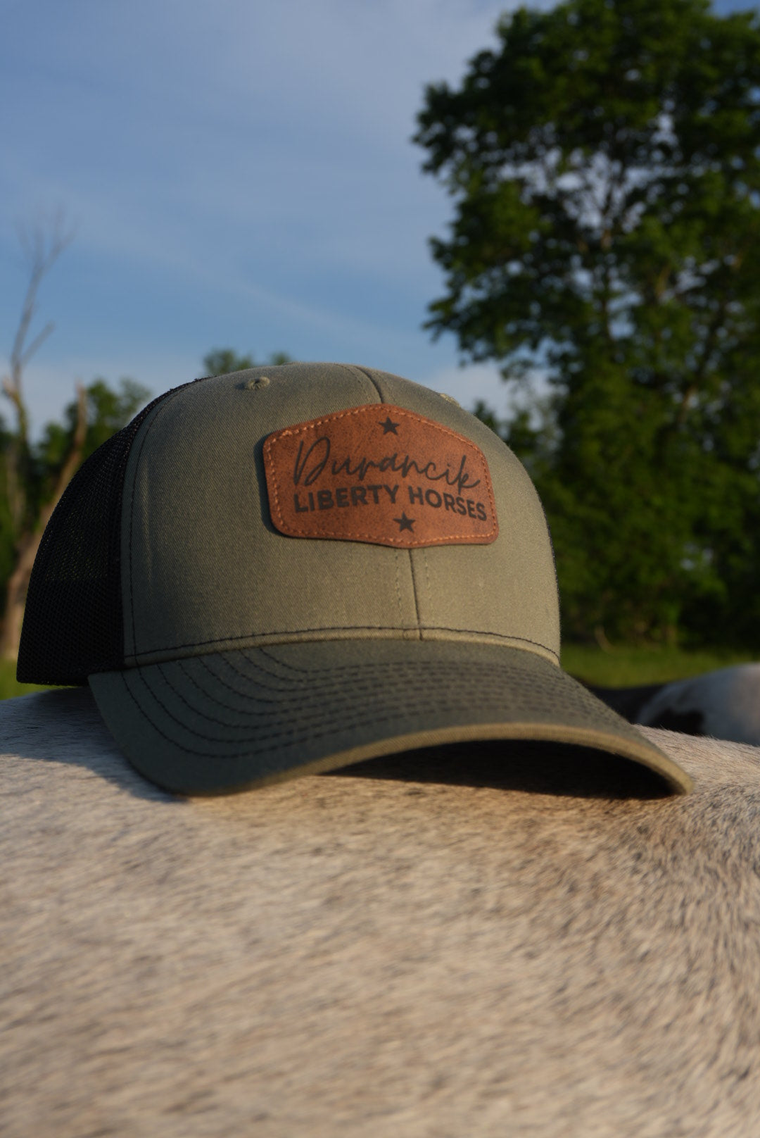 DLH Signature Snapback