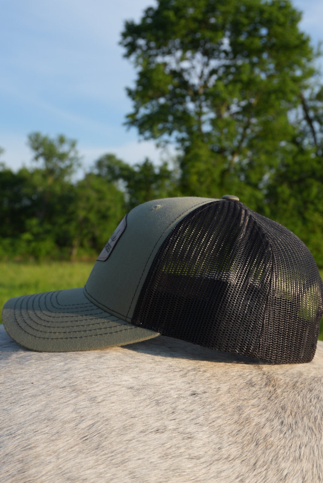 DLH Signature Snapback