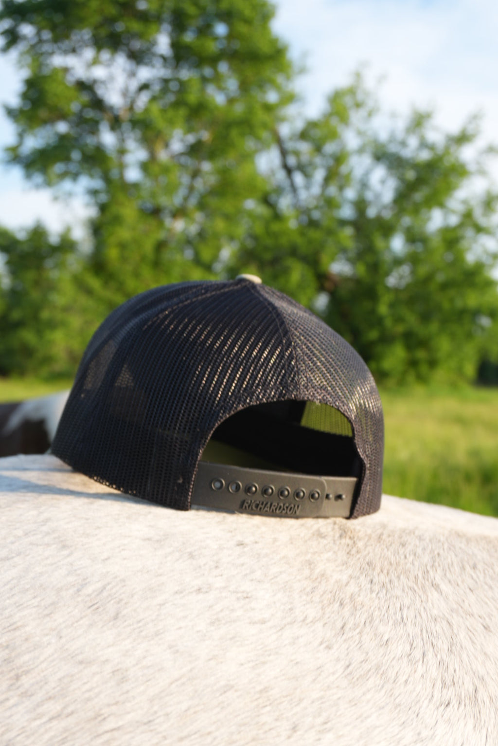 DLH Signature Snapback